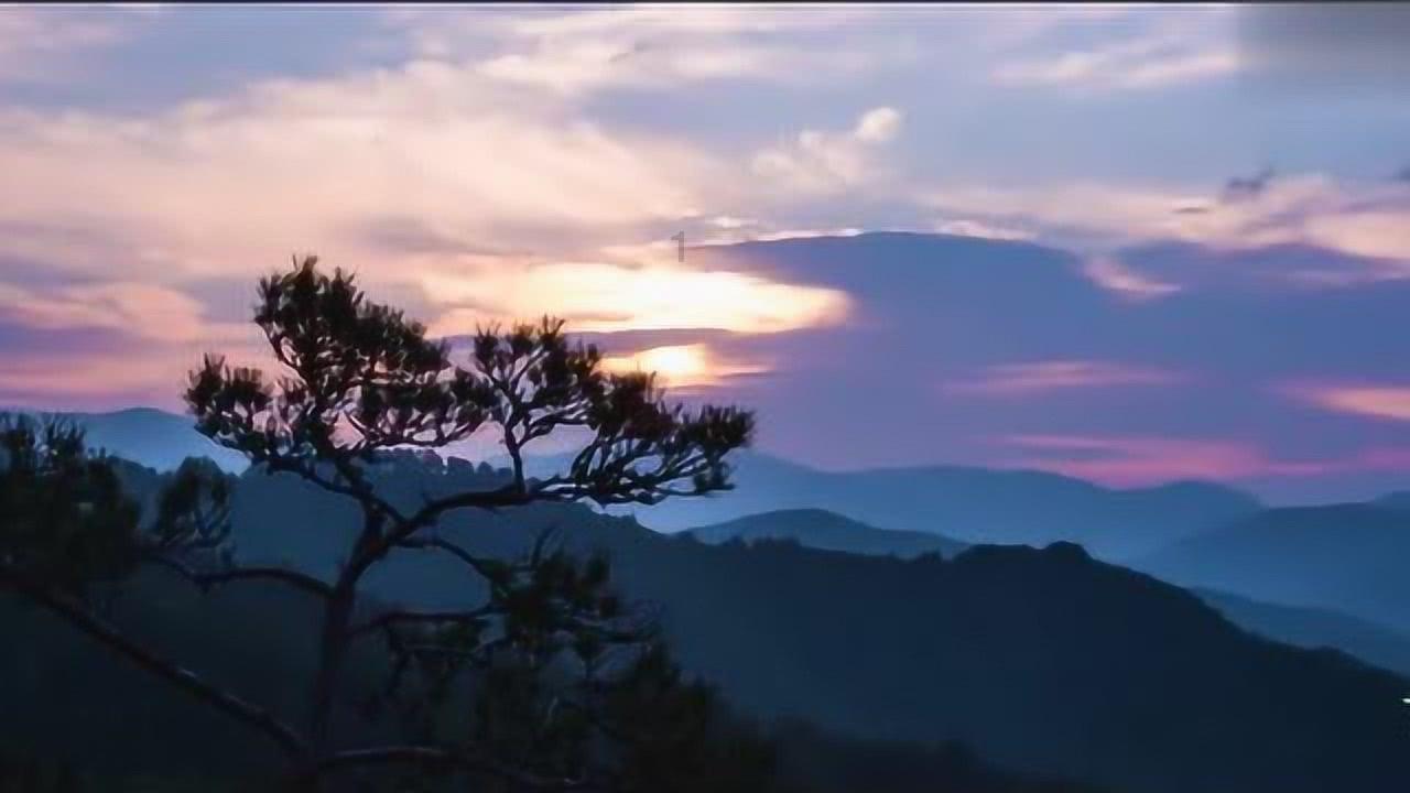 李炎哲首秀亮眼 新疆大胜浙江