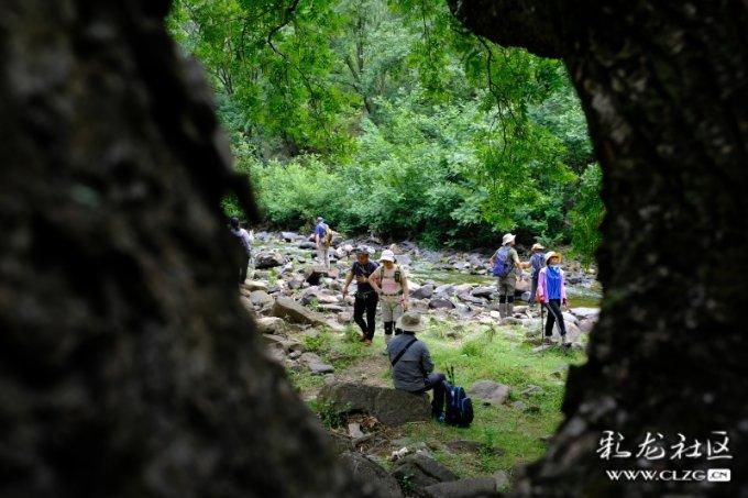 《第二十条》预售开启,赵丽颖与马丽高叶打扑克,调侃“丈夫”潘斌龙不敢和她坐一块