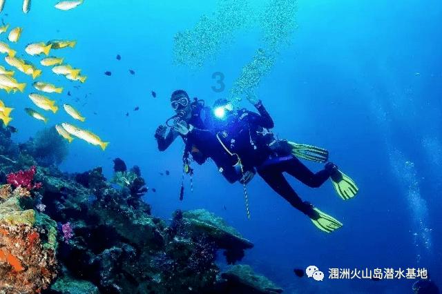小猫钓鱼正版下载中文版
