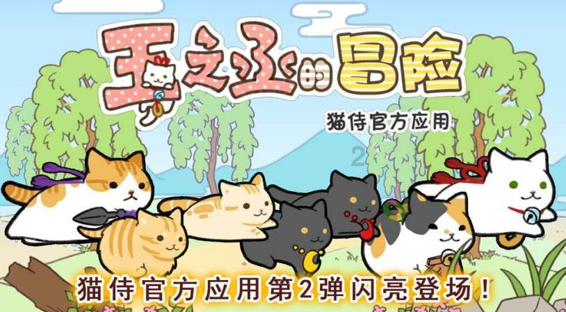珠穆朗玛峰才8848米，怎么没人坐能飞万米高空的直升机登顶珠峰？